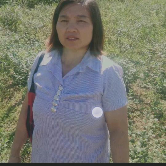 杨姐