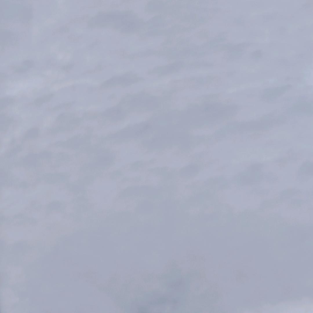 的想法v