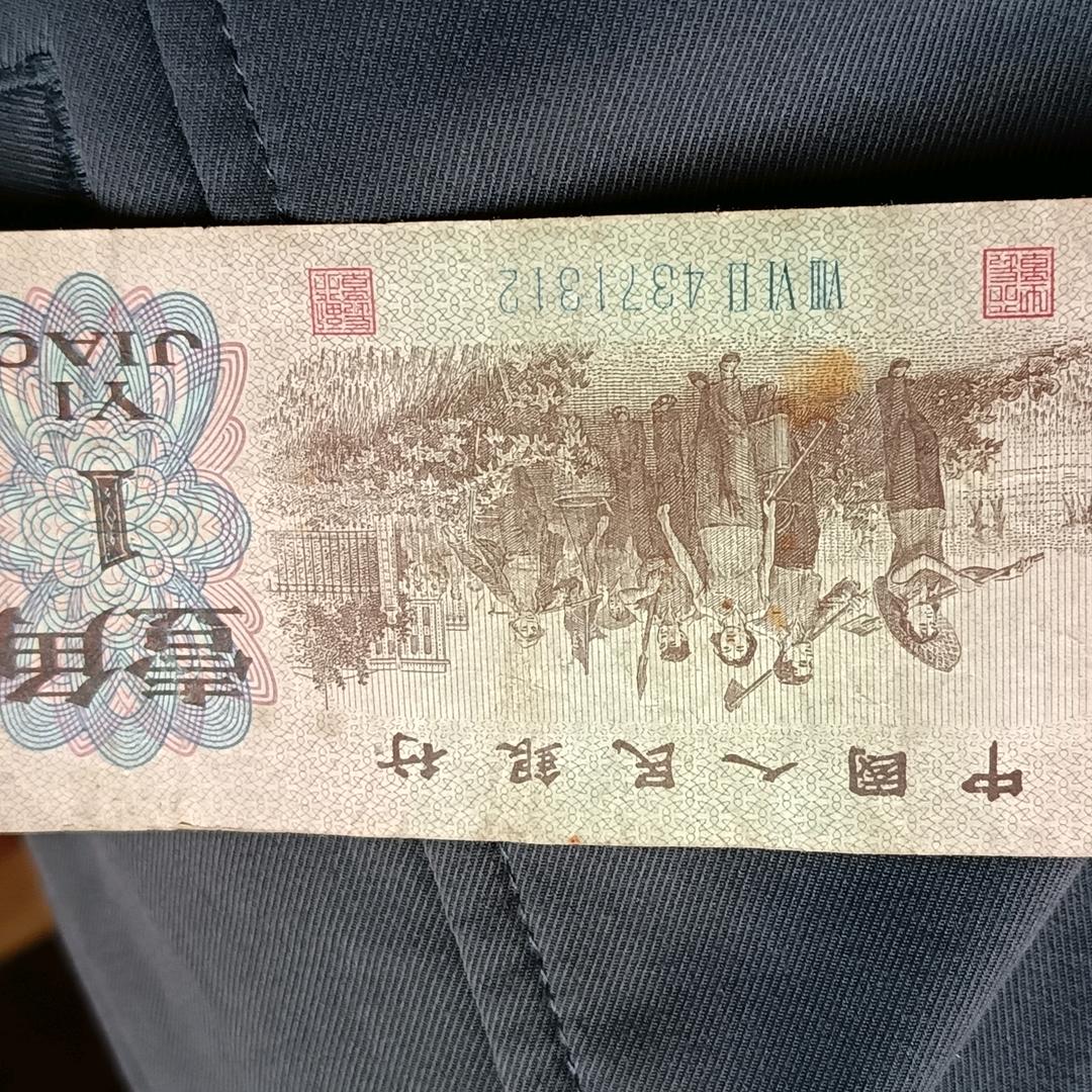 飞来常聚