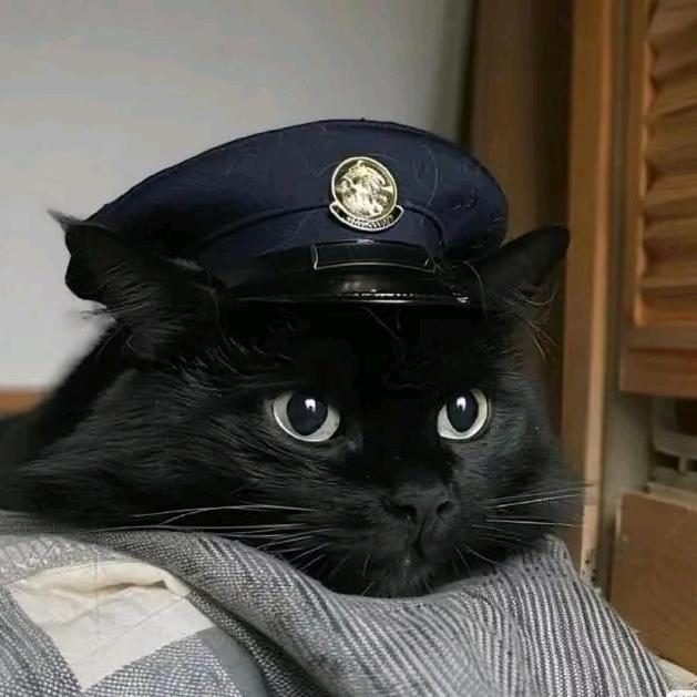 ค ᳐警花 ᳐ฅ੭