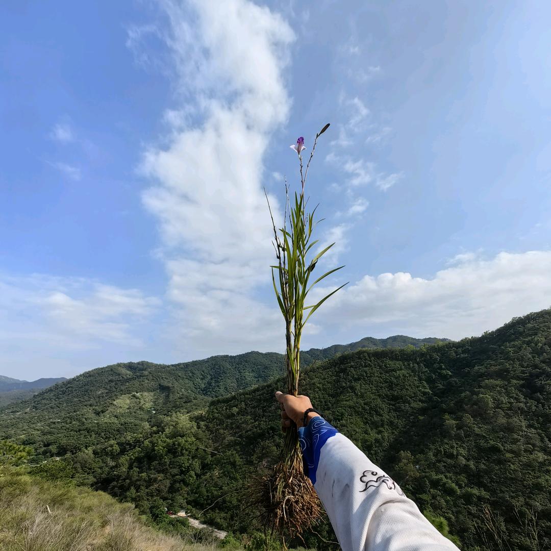 什么都没做 什么都是错