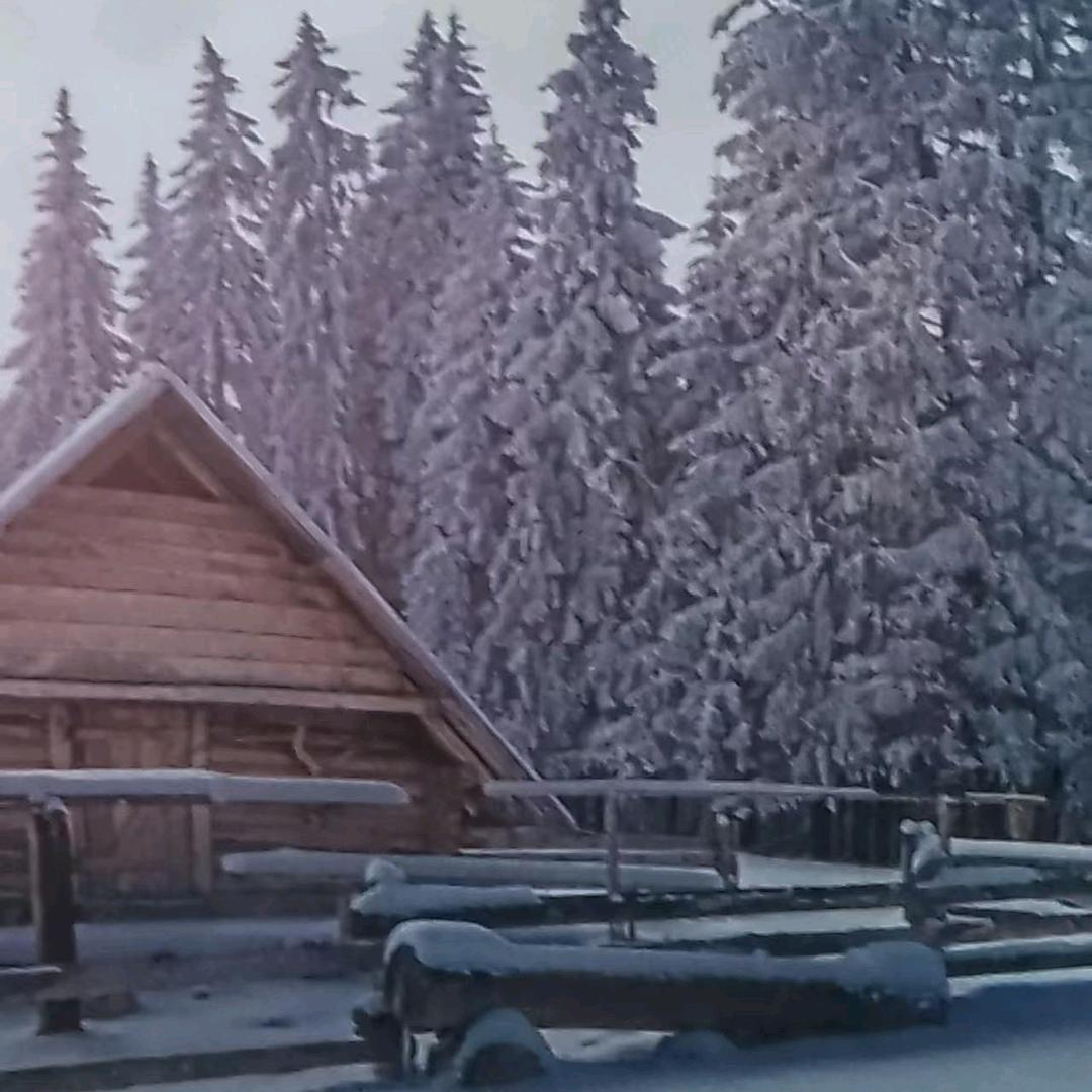 单身妹，伤不起。