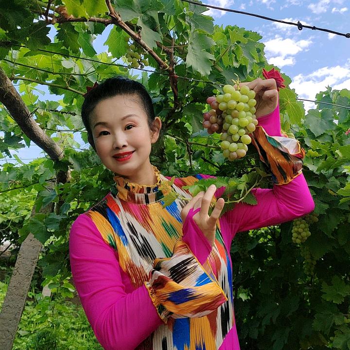 知否(新疆舞散跳)