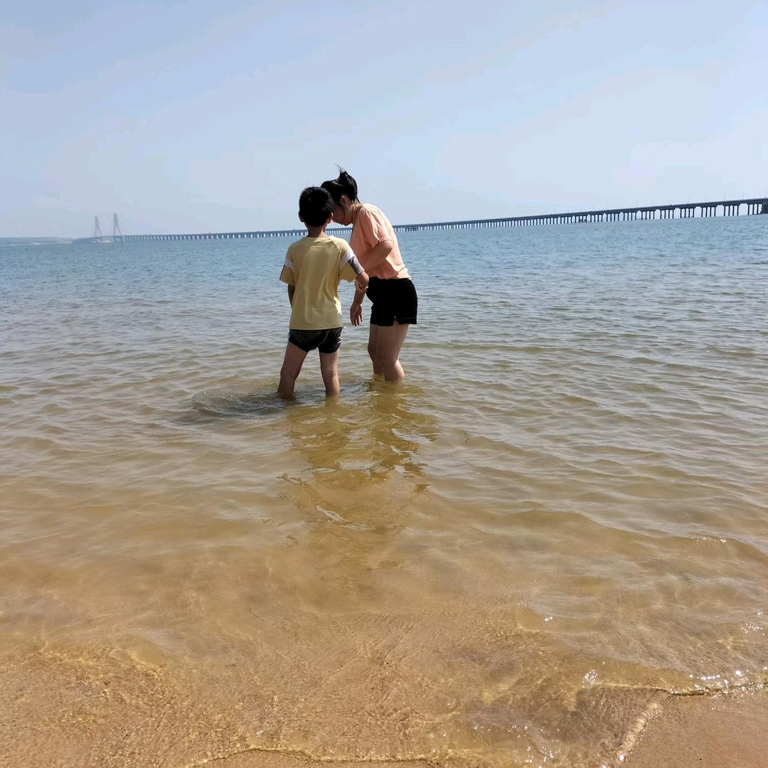 陶陶