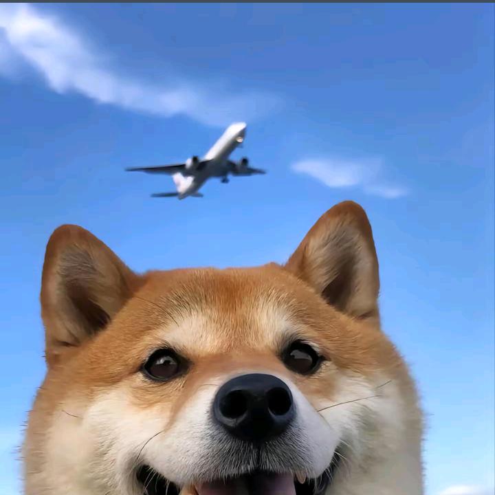 森屿☪️