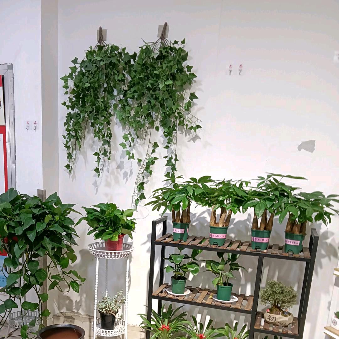 敏