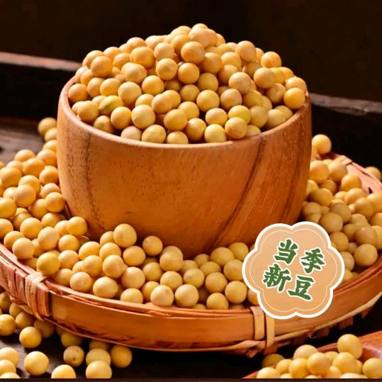 万亩良田丰收季