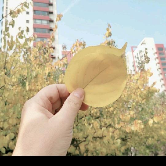 做回原来的自己