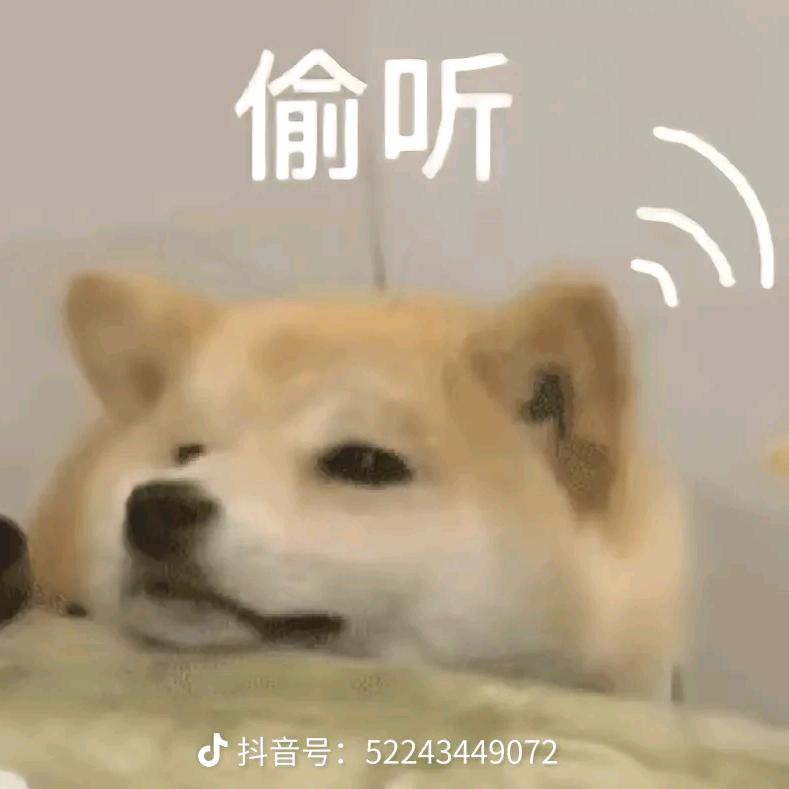 晒鸭😇