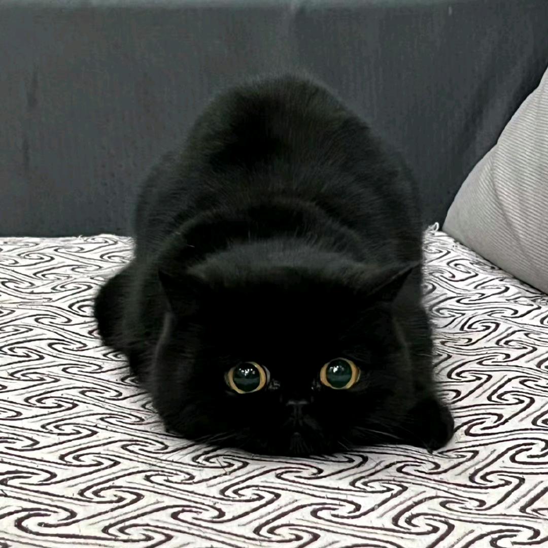 ✿普通市民⁽⁽ƪ