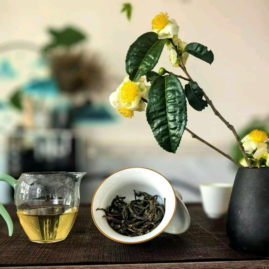 闻叙古树茶