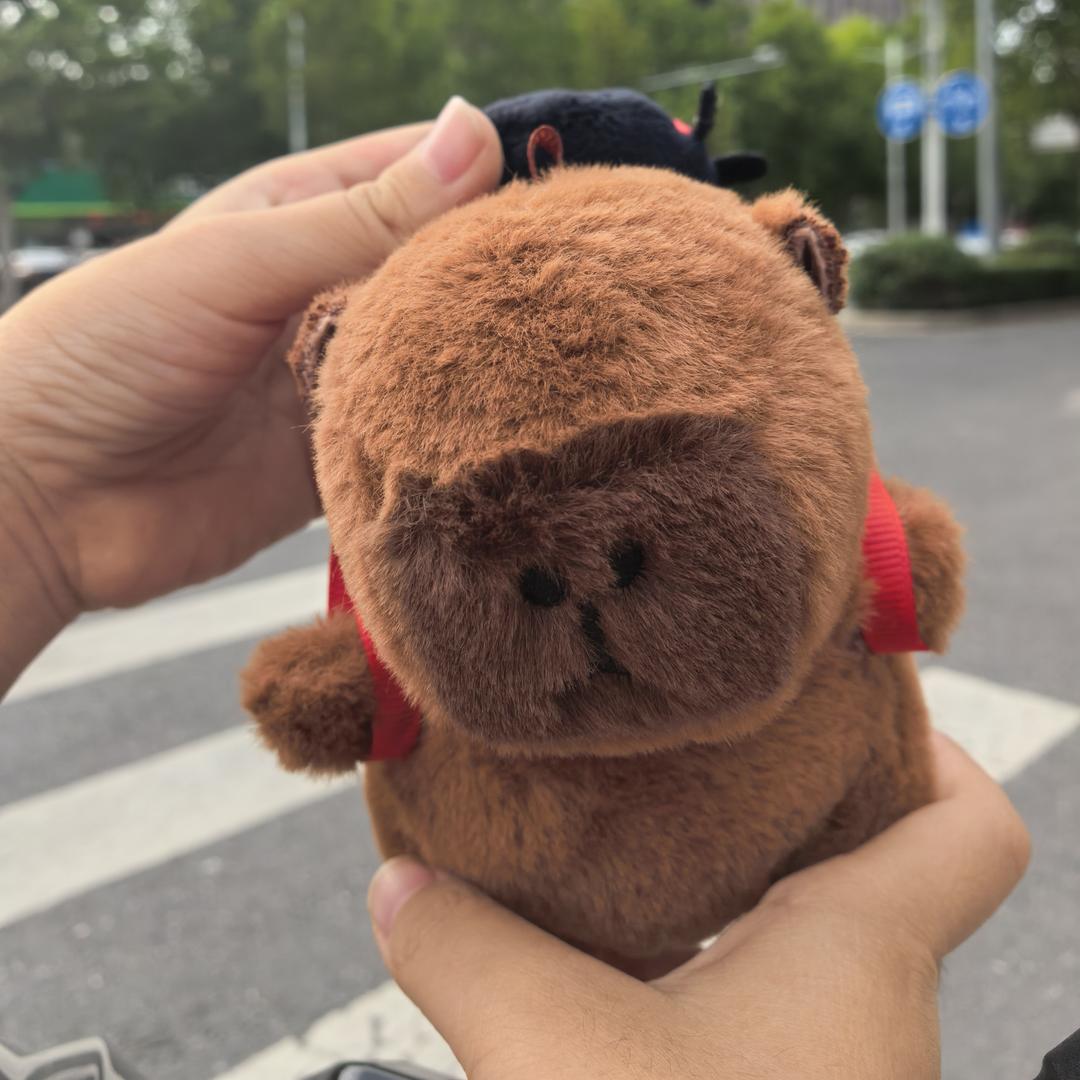 一树的Volg
