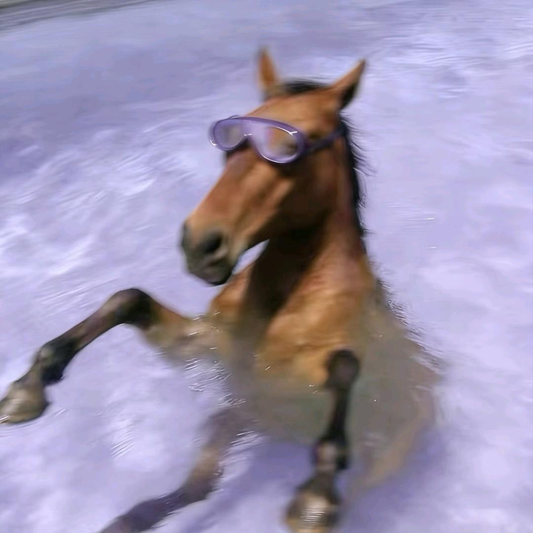 心好没假期∞²