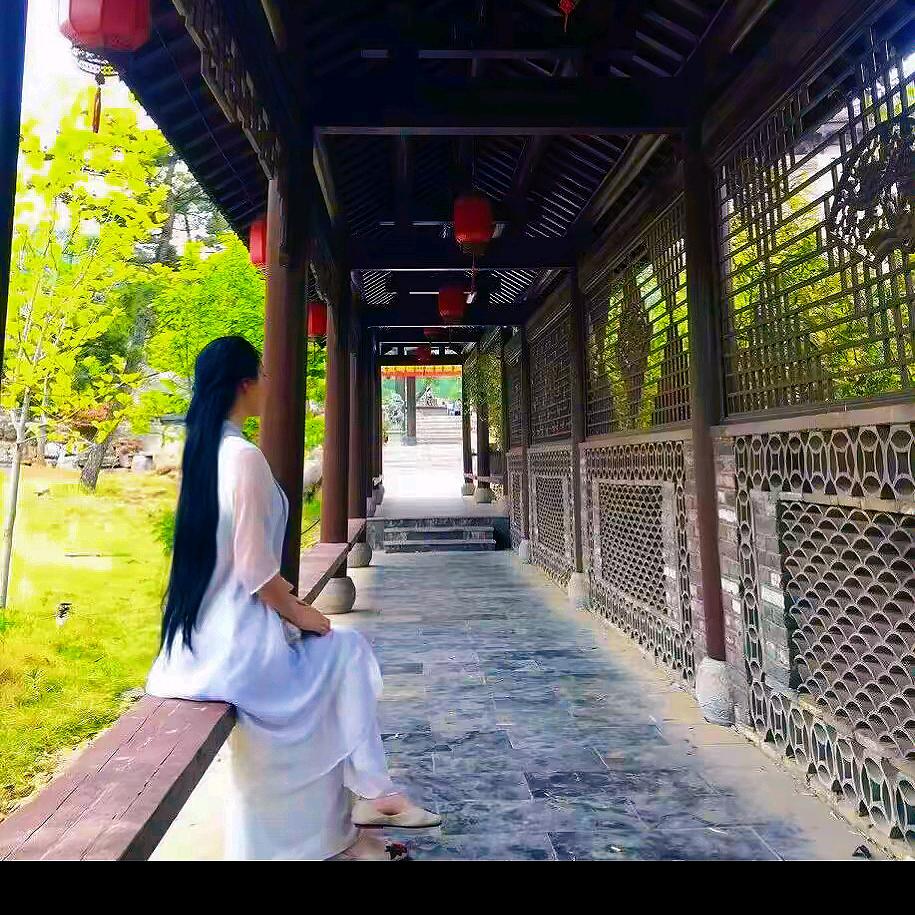菩提树下.