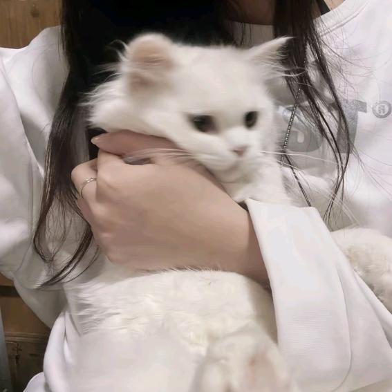 其月（深情眼7.21 ）