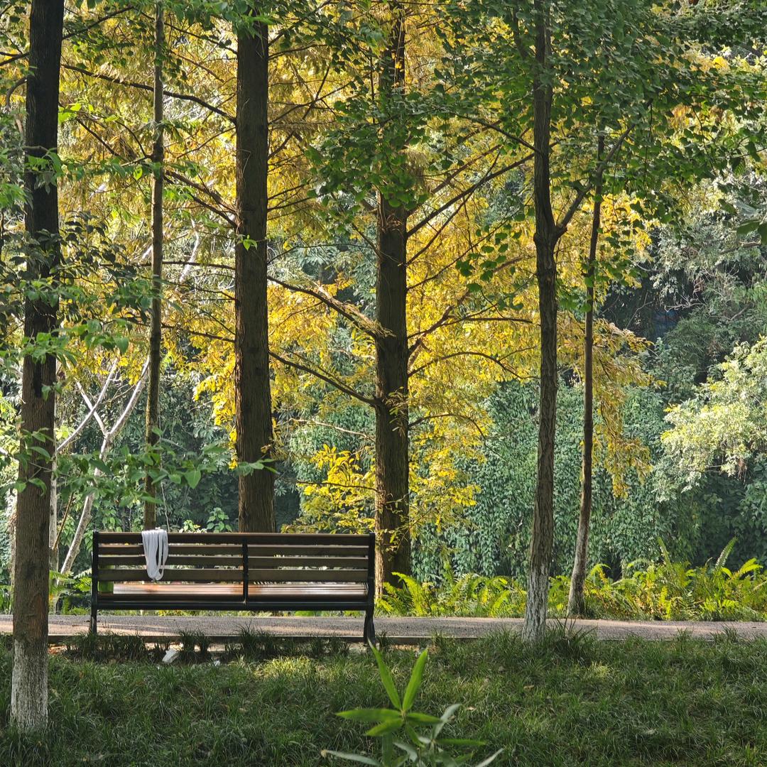 我变成了五颜六色的月亮