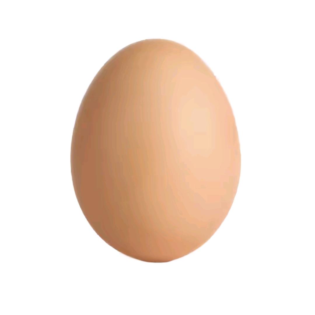 坤🥚