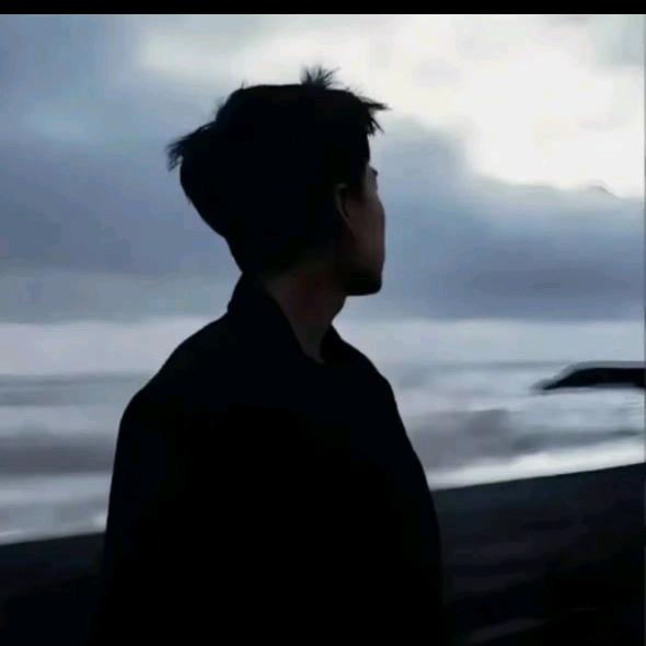 御龙在天—安子