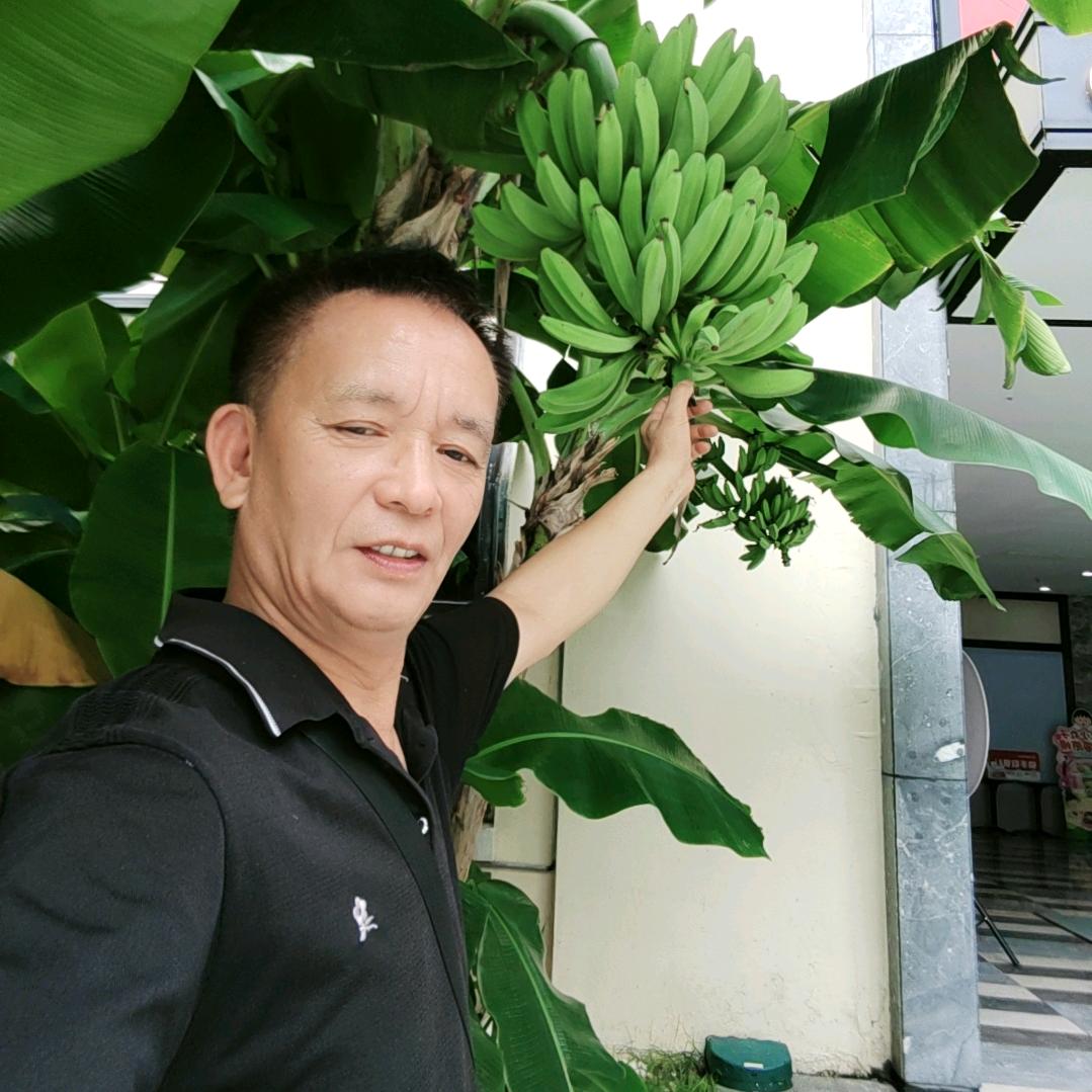 别忘了情《1688》