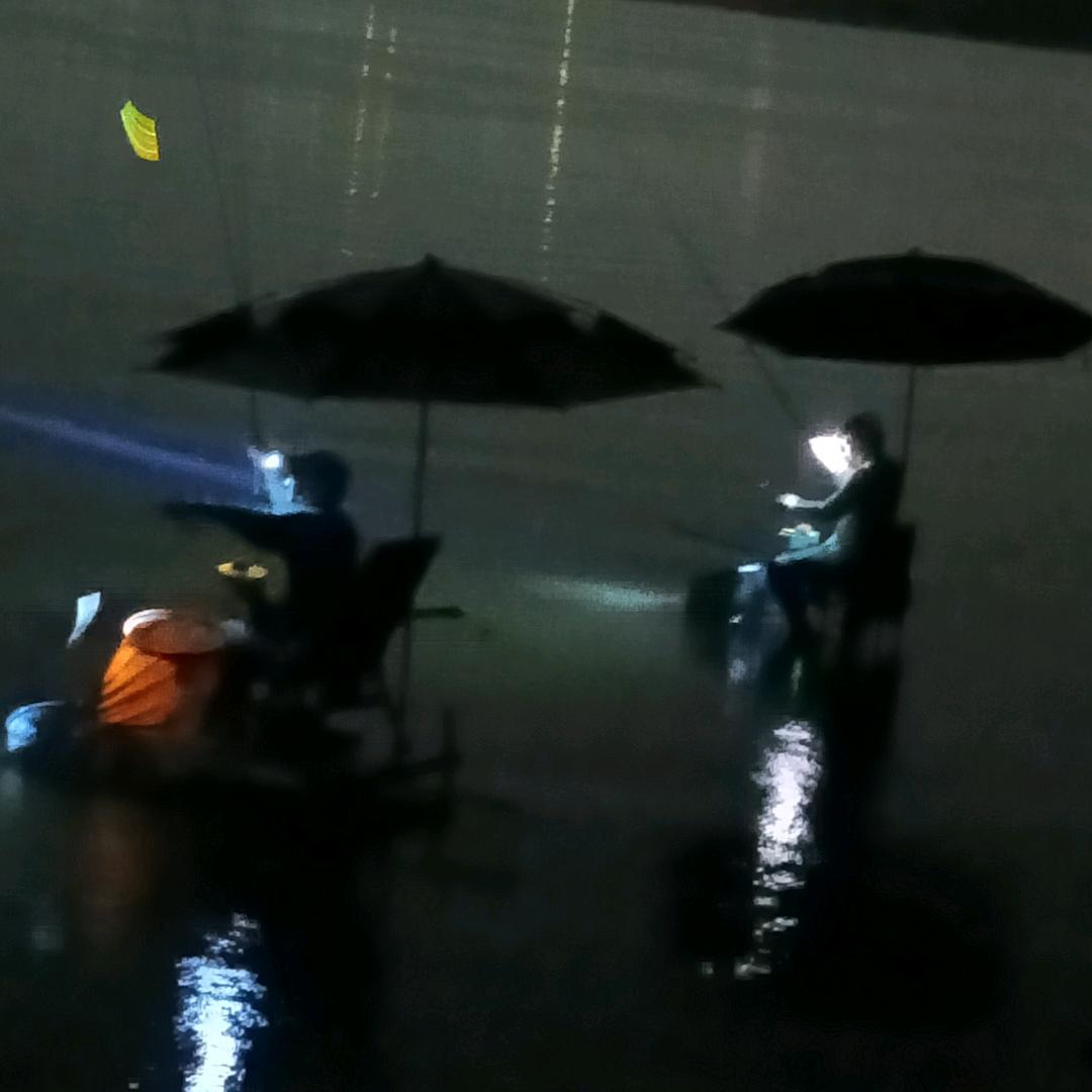 小飞飞钓鱼🐟