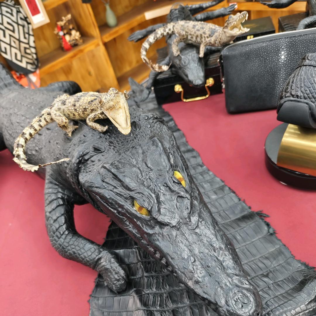 骏阳皮具16