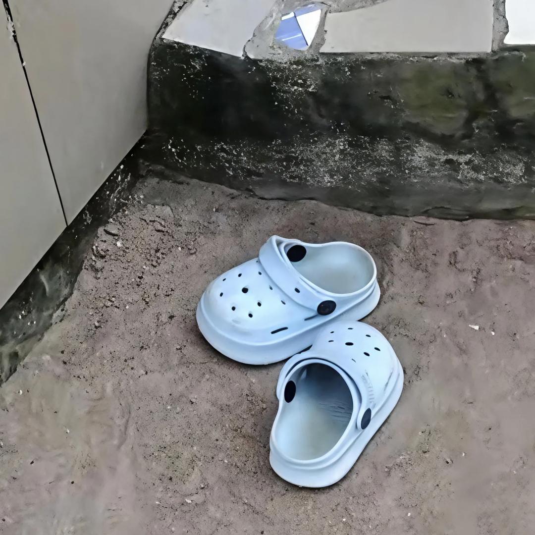 花落散故里
