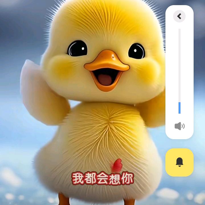 天天开心