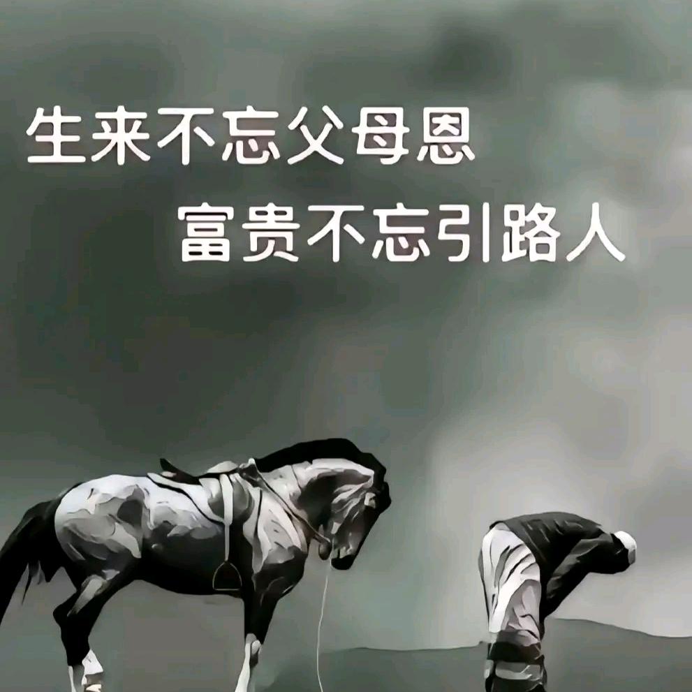 王万里↘