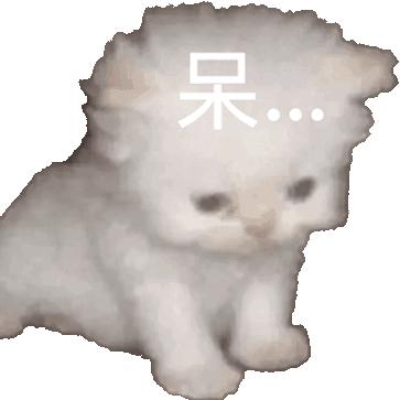 小猫伸懒腰给老奶奶蹬出二里地