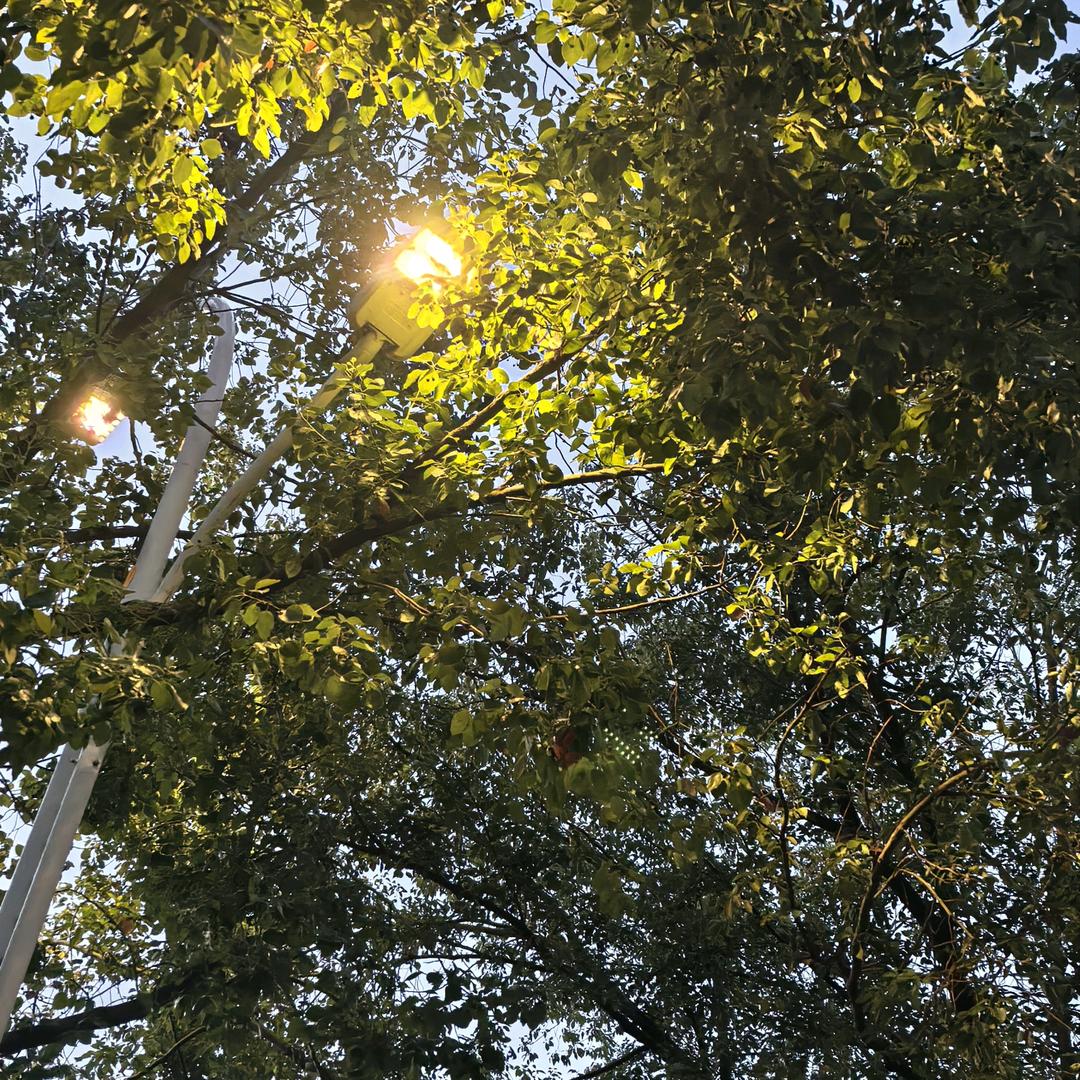 世界另一个懒蛋