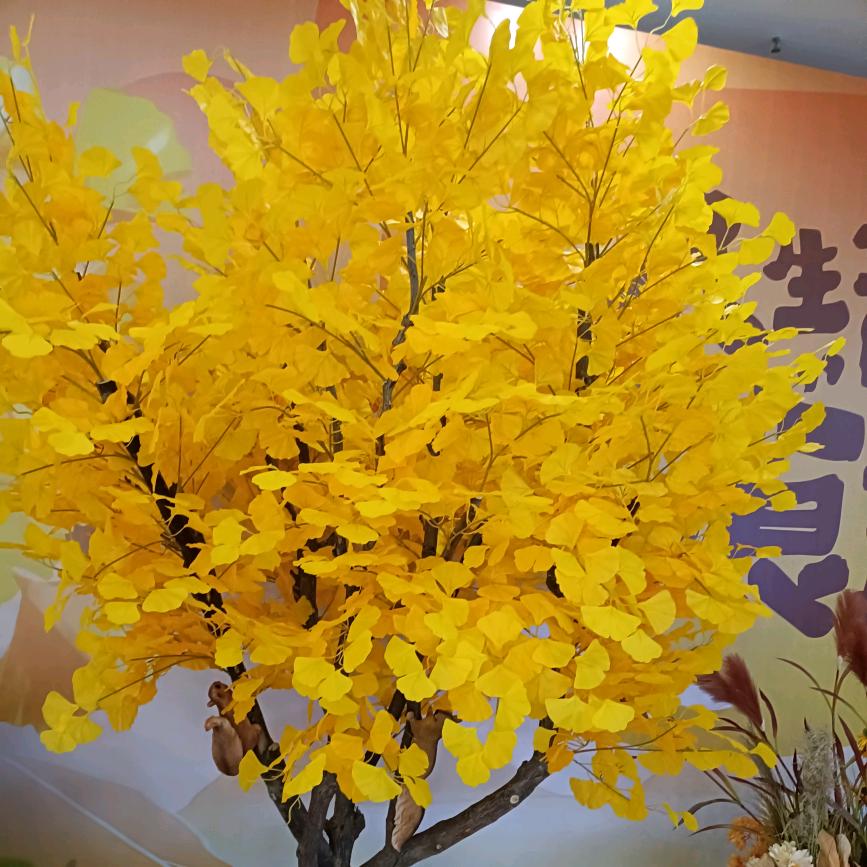 🌿爱妳又相随🌿