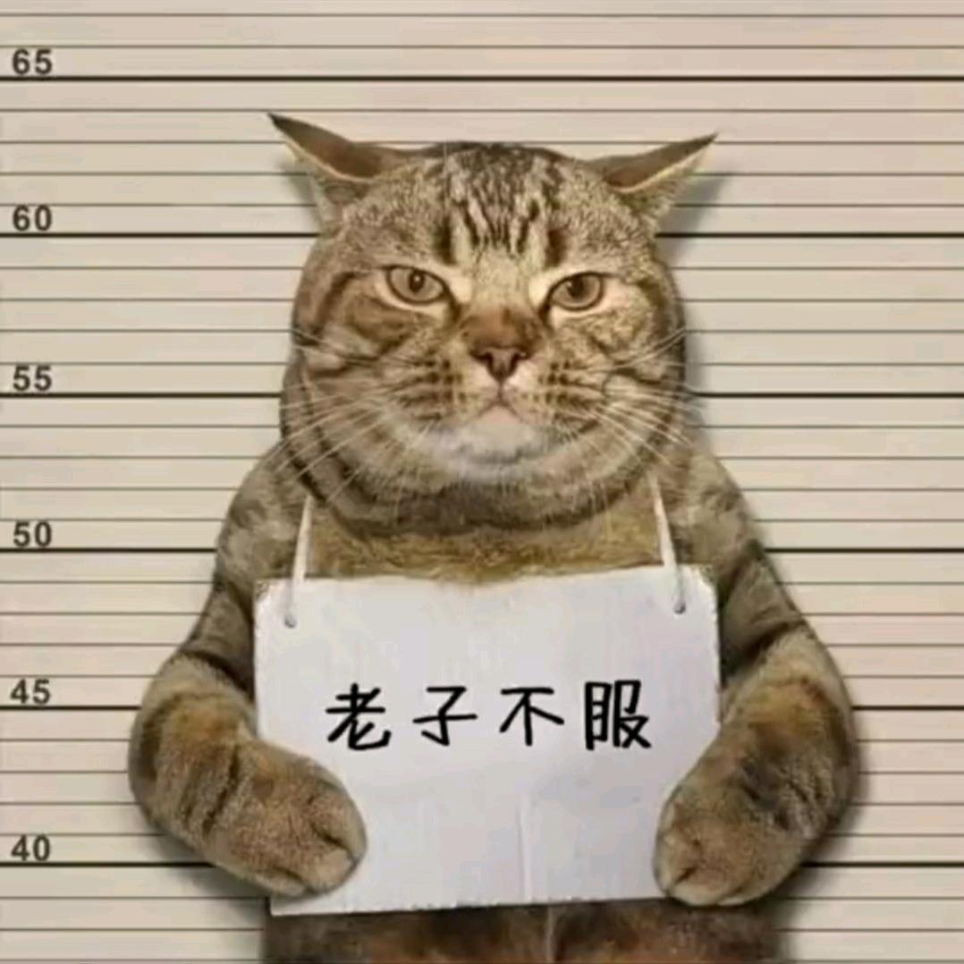 奇奇怪怪的路人