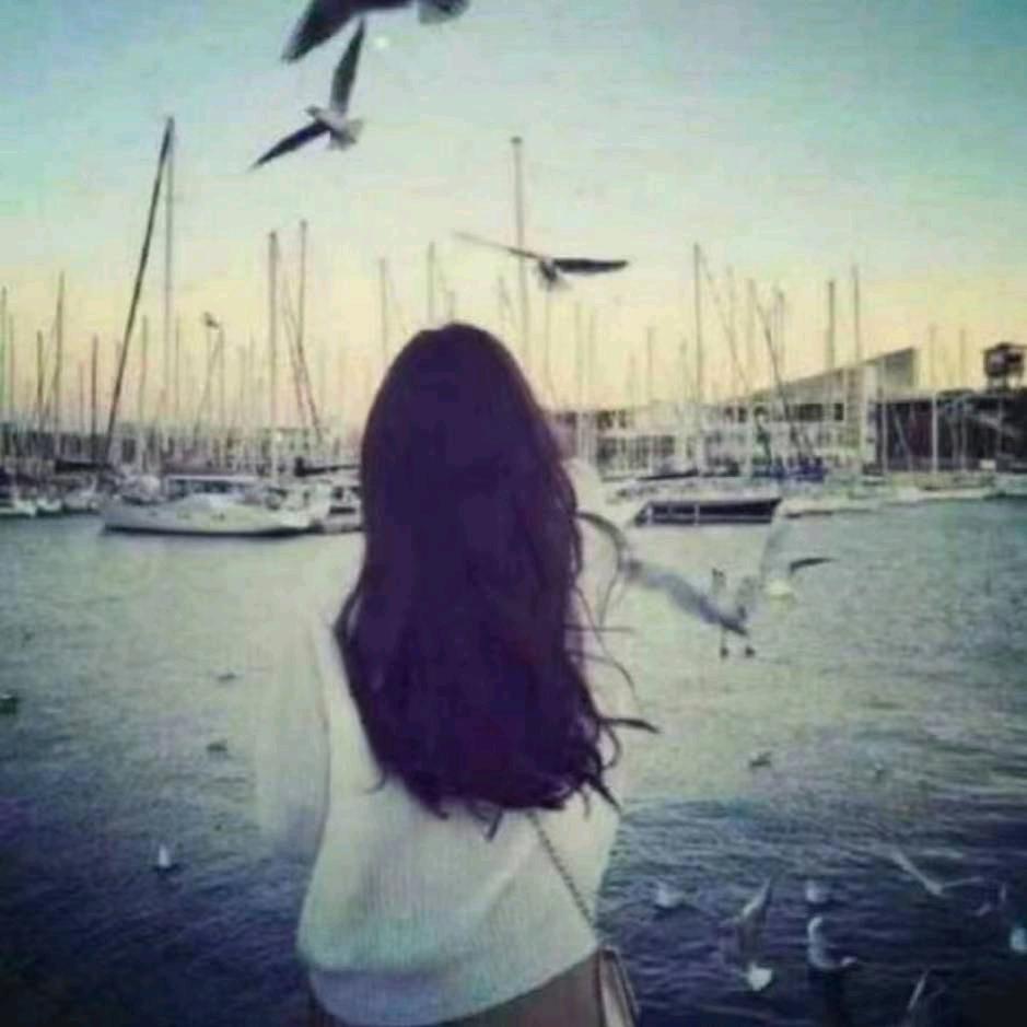 S0ηg