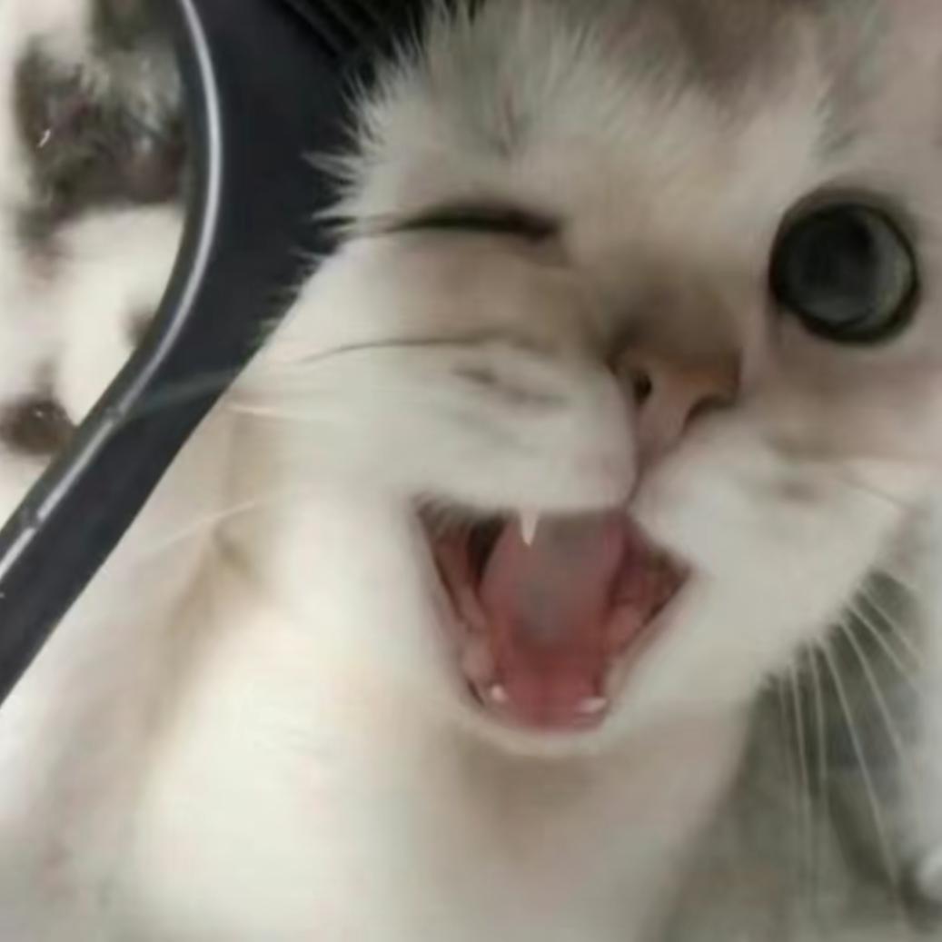 壳壳