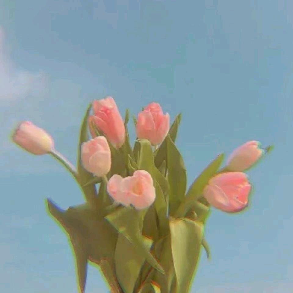 再回首我心依旧