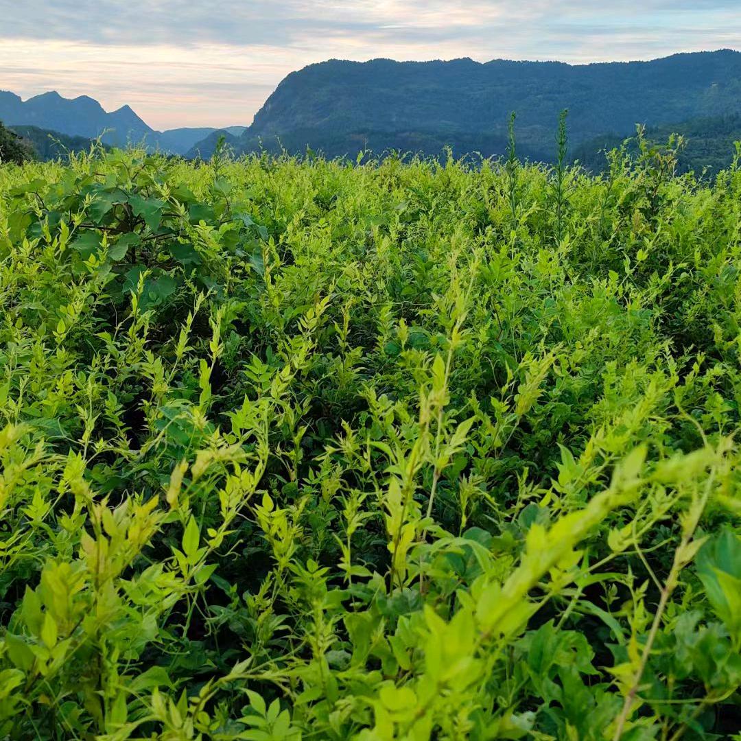 湖南三稷电子商务有限责任公司