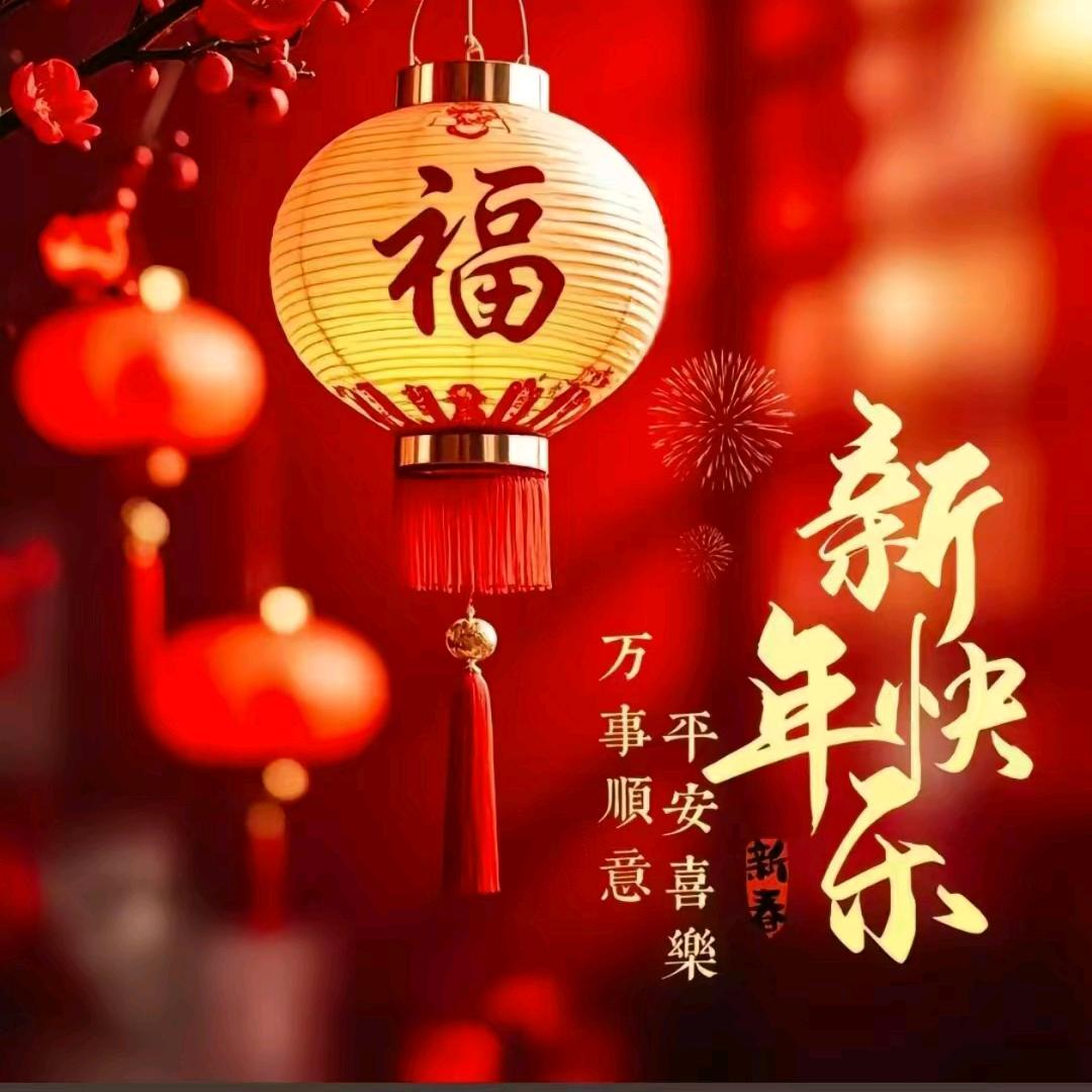 每天只想躺着数钱