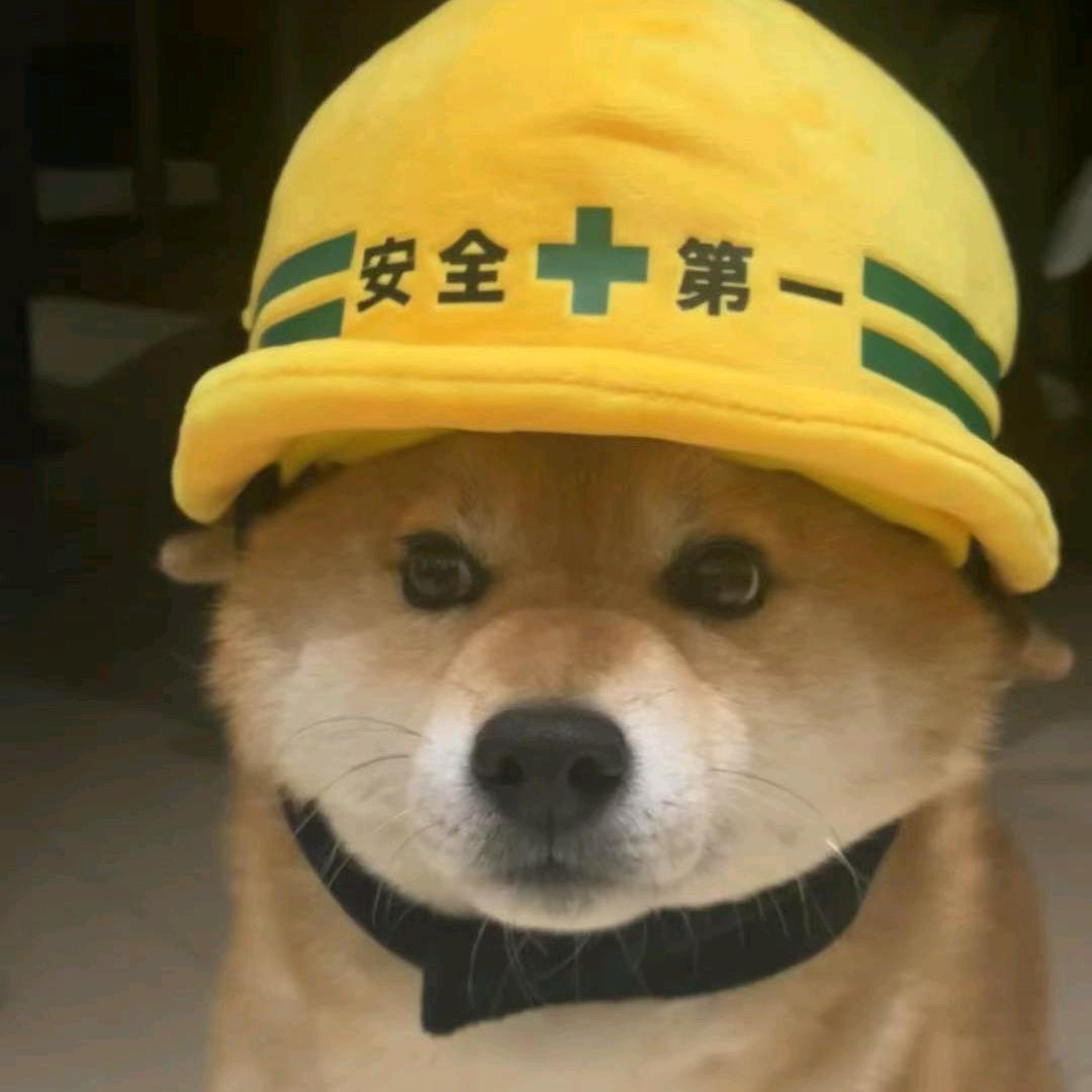 只用尼康拍风景的Kevin（人像风景）