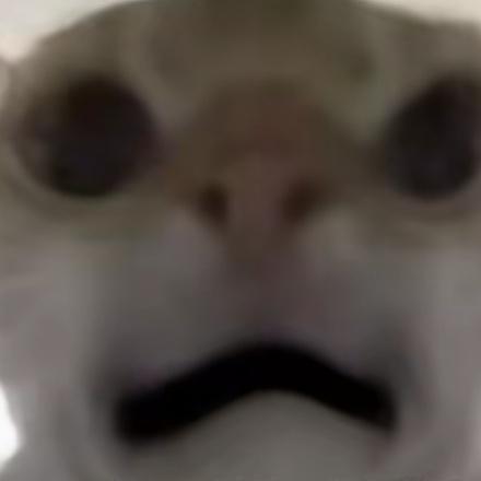 像七