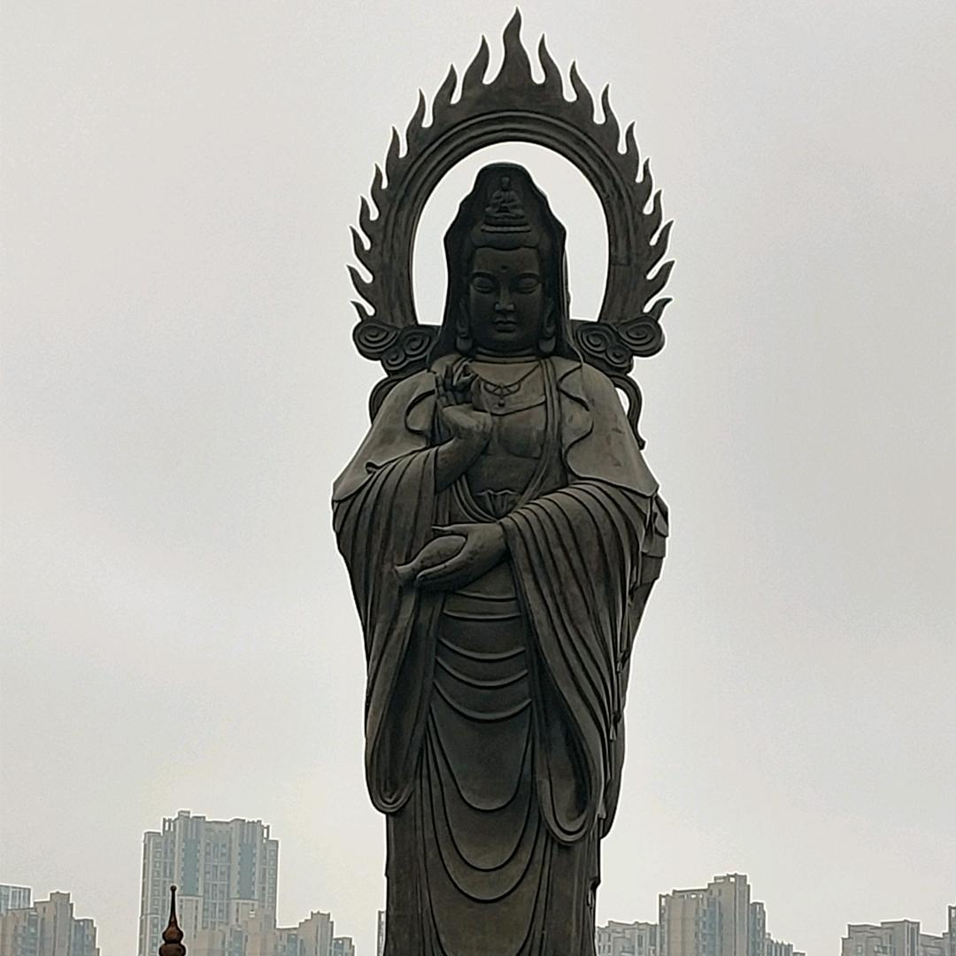 召召在努力