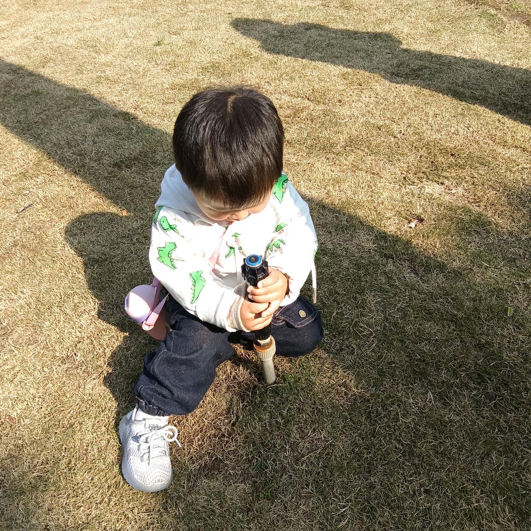 邓姐