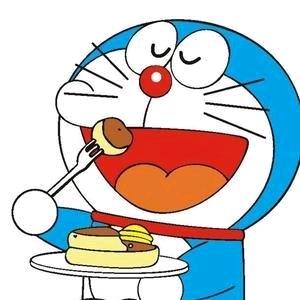 吃货猫🐱