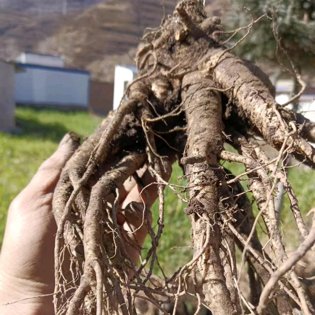 漳县怡帆农产品优品小铺