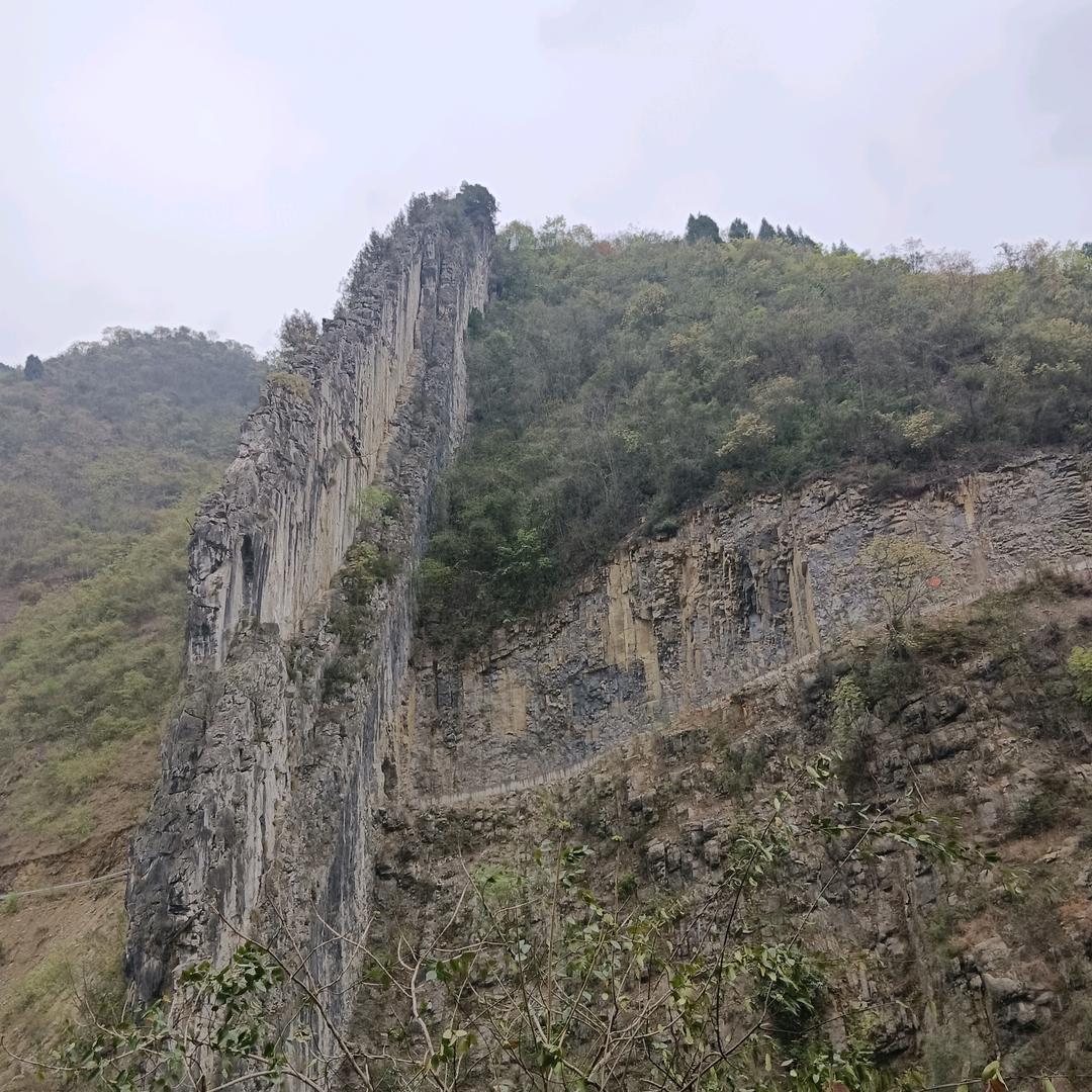 杨晓红