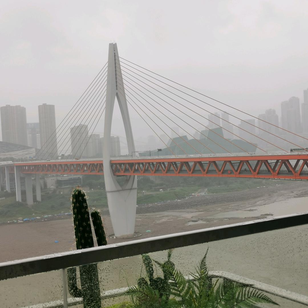 蛋抄饭