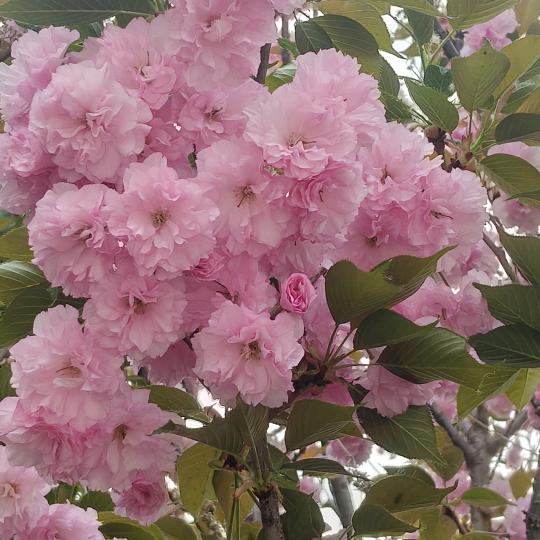 我是八零后