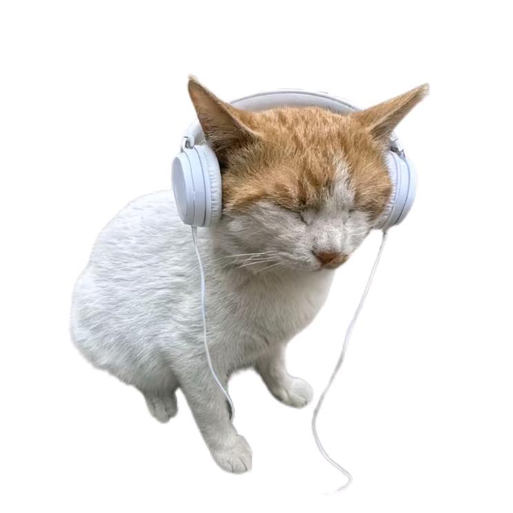 明天见.