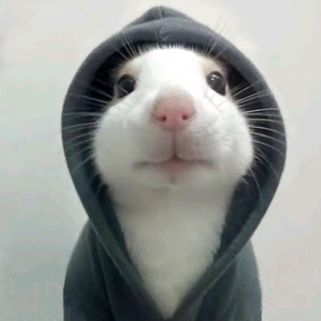 什么名字没有被用嘞