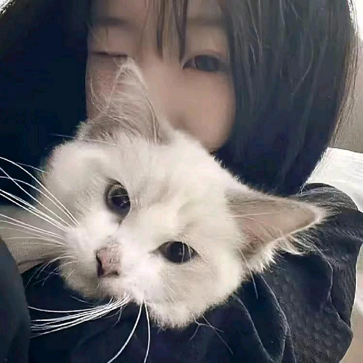 总被骗感情