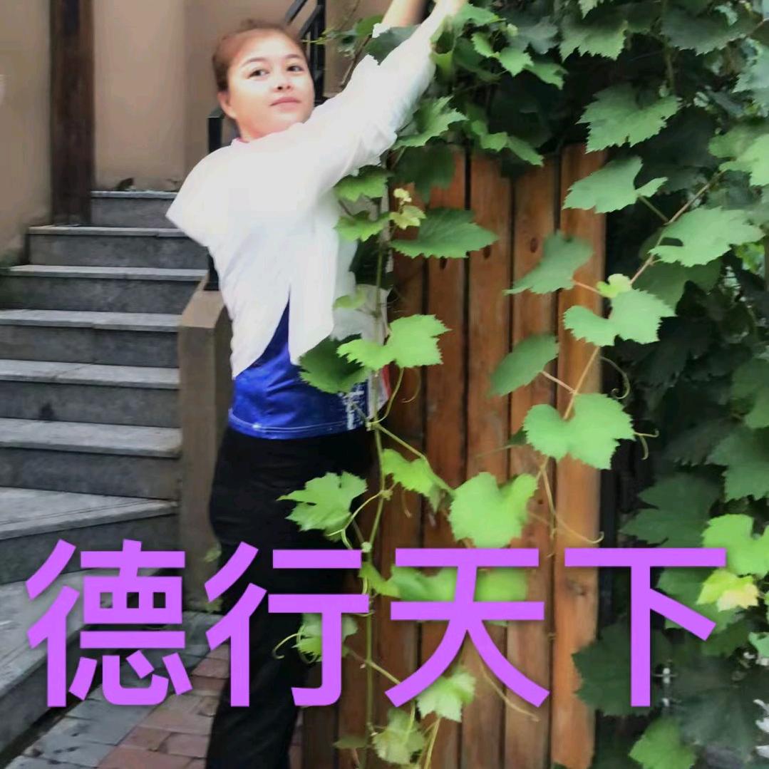 Sophia索菲亚